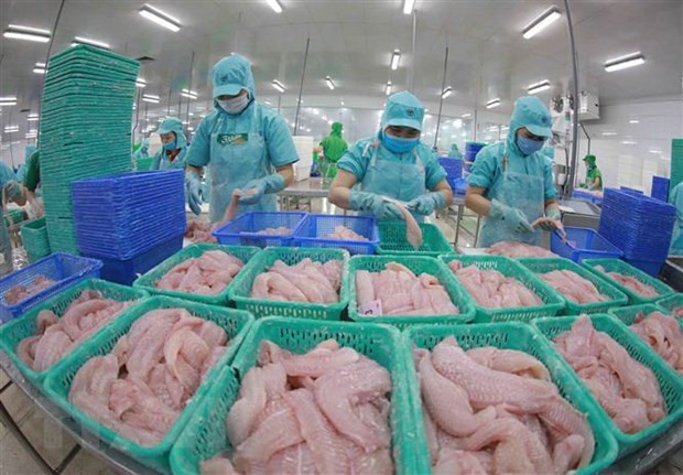 越南水产品加工。（图片来源：越通社）