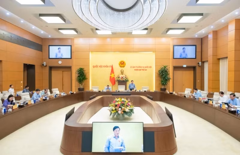 会议讨论越南国籍法草案的两项主要政策。