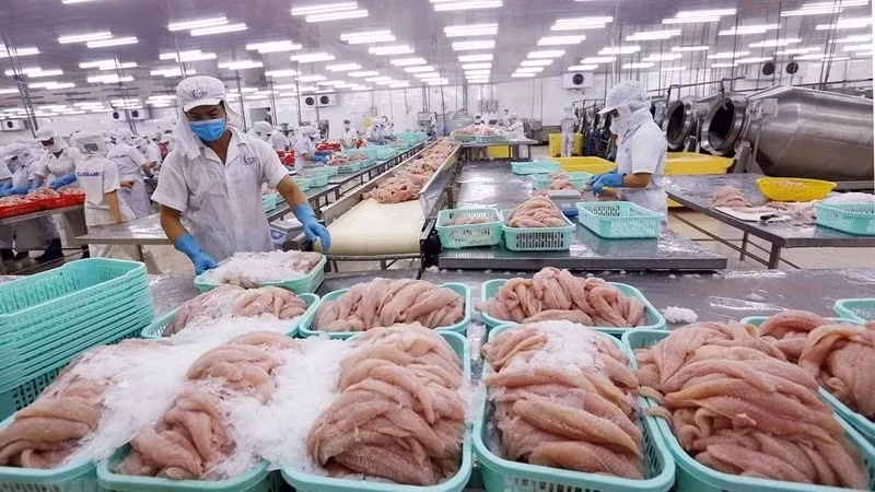 2025年前四个月，越南水产品出口总额达33亿美元，同比增长21%。