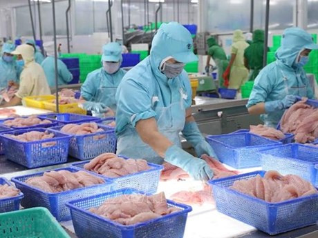 9月份，越南水产品出口额达8.62亿美元，相当于2022年的水平。