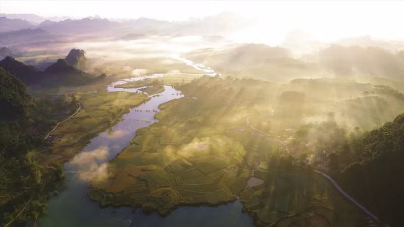 已经收割的田地与金黄色的成熟稻田交错排列。