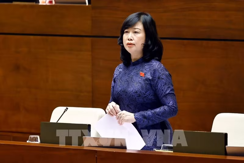 越南卫生部部长陶红兰女士在会上发表讲话。