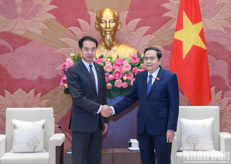 越南国会主席陈青敏会见中国驻越大使何炜。