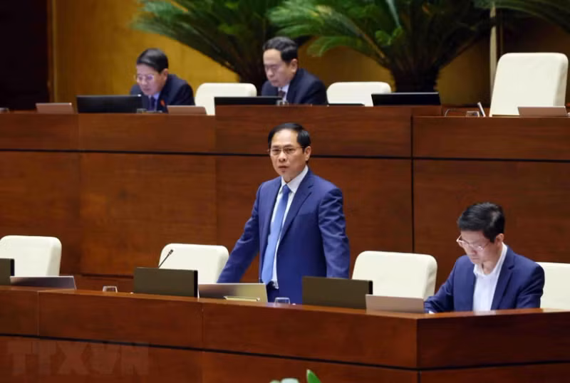 外交部部长裴青山回答询问。
