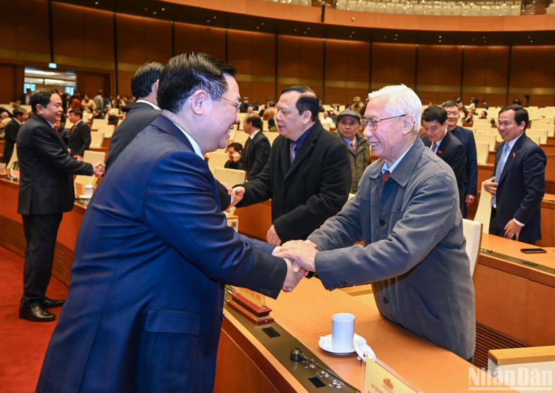 越南国会主席王廷惠出席前国会领导人新春见面会。（维灵 摄）