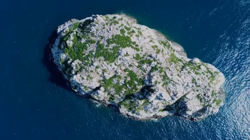 昏岛国家公园的蛋岛鸟类栖息地。