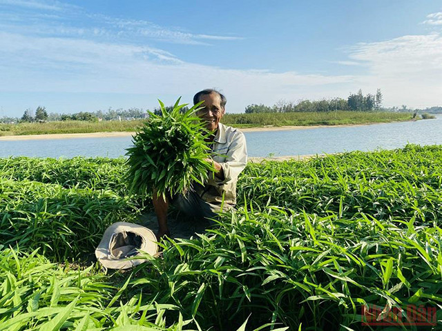 城市中心的“游牧”生活（组图） ảnh 5