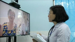附图。（图片来源：越通社）