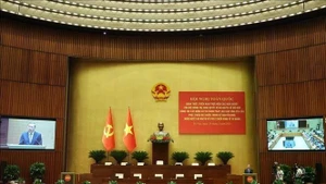 越共中央总书记苏林在贯彻越共中央政治局第66-NQ/TW和第68-NQ/TW决议全国会议上发表讲话。（图片来源：越通社）