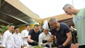 岘港市入选“2025年全球理想美食旅游与数字游民目的地”名单。