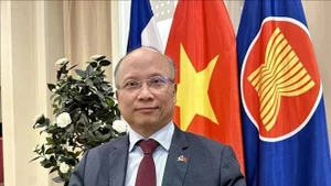越南驻法国大使丁全胜。（图片来源：越通社）