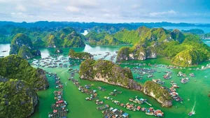 海防市吉婆群岛。（图片来源：baodautu.vn）