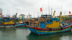 嘉莱省强化渔船管理 迈向可持续渔业发展。