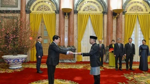 越南国家主席梁强接受印度尼西亚特命全权大使递交的国书。