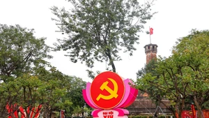 今天对越共十四大组织工作进行总彩排【视频】