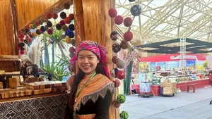 山罗省投资、贸易与旅游促进中心办公室主任陈玉琼英。