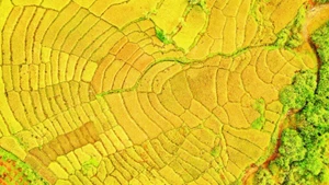 广义省西部山区拥有丰富的自然景观资源，适宜发展体验式旅游。