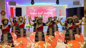 “2026丙午年家乡之春”活动文艺节目。（图片来源：越通社）