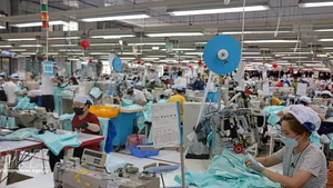 2025年，越俄双边贸易额达47.7亿美元。（图片来源：越通社）