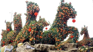 兴安省米处乡兴心园艺户创作的作品《马到成功》，造型为8匹骏马飞奔向前。（图片来源：越通社）