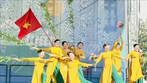 “越南文化日”活动的文艺表演。（图片来源：越通社）
