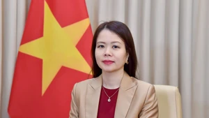 越南外交部副部长阮明姮。(图片来源:越通社)