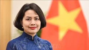 越南驻芬兰兼驻爱沙尼亚特命全权大使范氏清平。（图片来源：越通社）
