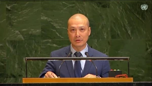 越南常驻联合国代表团副团长阮黄原公使。（图片来源：越通社）