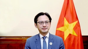 越南常驻联合国代表团团长杜雄越大使。（图片来源：越通社）