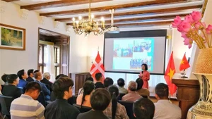 阮黎青大使会见旅丹越南人社群代表。（图片来源：越通社）