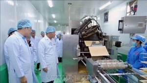 在老越侨企业日益巩固其在经济发展中的重要作用。（图片来源：越通社）