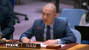 越南常驻联合国代表团副团长阮黄原公使衔参赞。（图片来源：越通社）