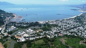 岘港市成为全国首个成立自由贸易区的地方，为越南参与全球贸易市场打开大门。
