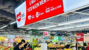附图。（图片来源：越通社）