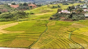 新广义省地域辽阔，从高山、边境到海岛，山海相连，风光壮丽，为将旅游业打造成为新阶段经济增长的重要动力奠定了坚实基础。