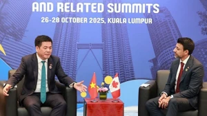 越南工贸部长阮鸿延与加拿大国际贸易部长曼尼德·西杜举行了双边会晤。(图片来源:越通社)