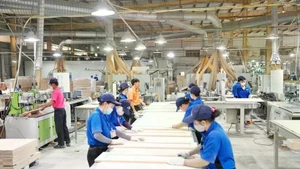 资料图。（图片来源：越通社）