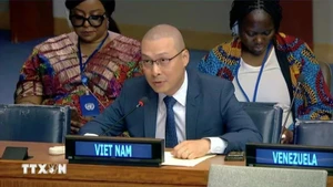 越南常驻联合国代表团副团长阮黄原公使衔参赞出席了会议。（图片来源：越通社）