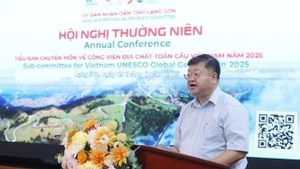 越南世界地质公园专业委员会主任、地质科学与矿产研究院院长郑海山在会议上发表讲话。（图片来源：越通社）