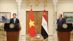 越南国家主席梁强与埃及总统塞西共同会见记者。（图片来源：越通社）