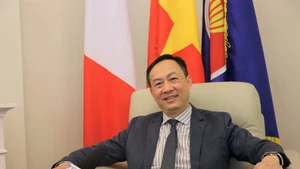 越南驻意大利大使杨海兴。（图片来源：越通社）