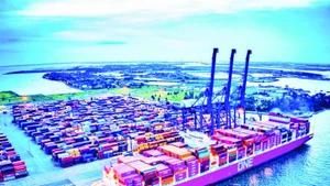 凭借港口优势，海防市正努力打造越南乃至区域绿色港口、智慧港口的典范。