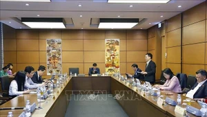 越南国会林同省和义安省代表团在小组讨论会上发言。（图片来源：越通社）