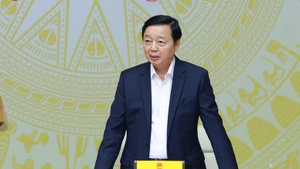 陈红河副总理主持会议。（图片来源：VGP）