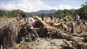 印尼西苏门答腊发生洪水和山体滑坡后，救援力量在现场搜寻遇难者。