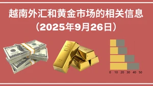 越南外汇和黄金市场的相关信息【图表新闻】