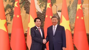 越南国家主席梁强与中共中央总书记、中国国家主席习近平。（图片来源：越通社）