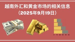 越南外汇和黄金市场的相关信息【图表新闻】