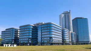 岘港市第二软件园区已于2025年正式投入使用。