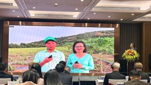 越南越田食品股份公司（Vietfarm）从宁顺省现场分享在获得项目支持后的成果。